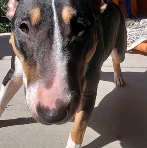 Meet your Posher, Kreyton